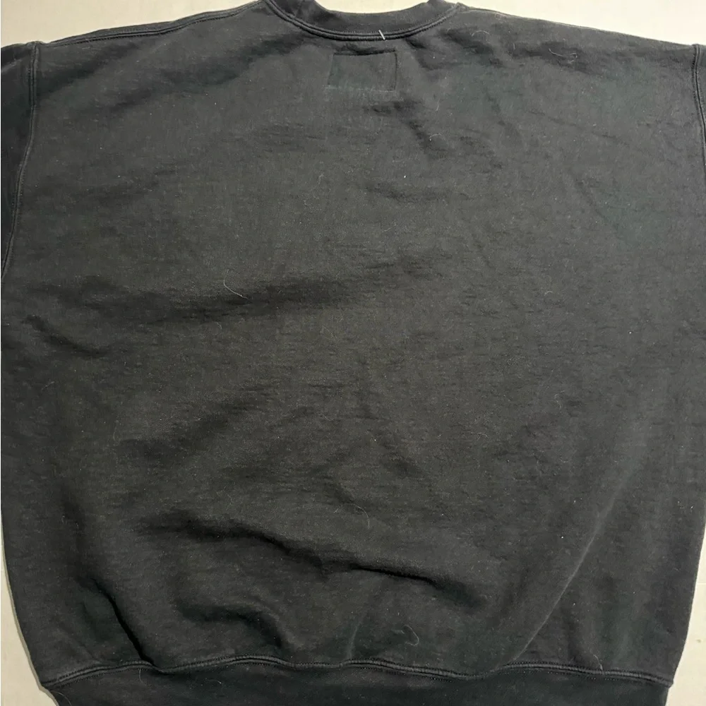 Arterius Terrell Black Pullover Sweatshirt 0, Panther logo, Men's 2X #1035‎